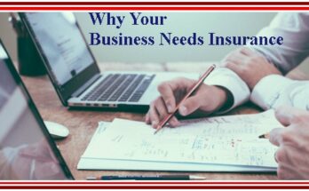 5 Essential Reasons Why Your Business Needs Insurance